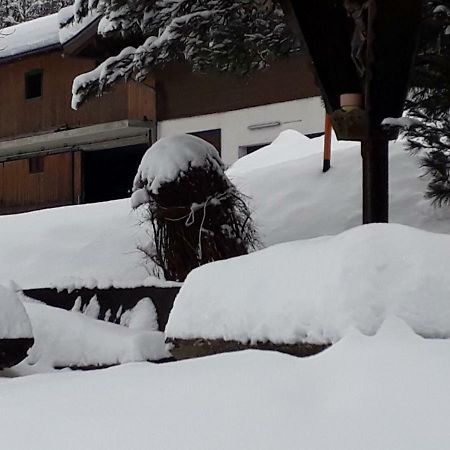 Appartement Wildkogelblick Neukirchen am Großvenediger Εξωτερικό φωτογραφία