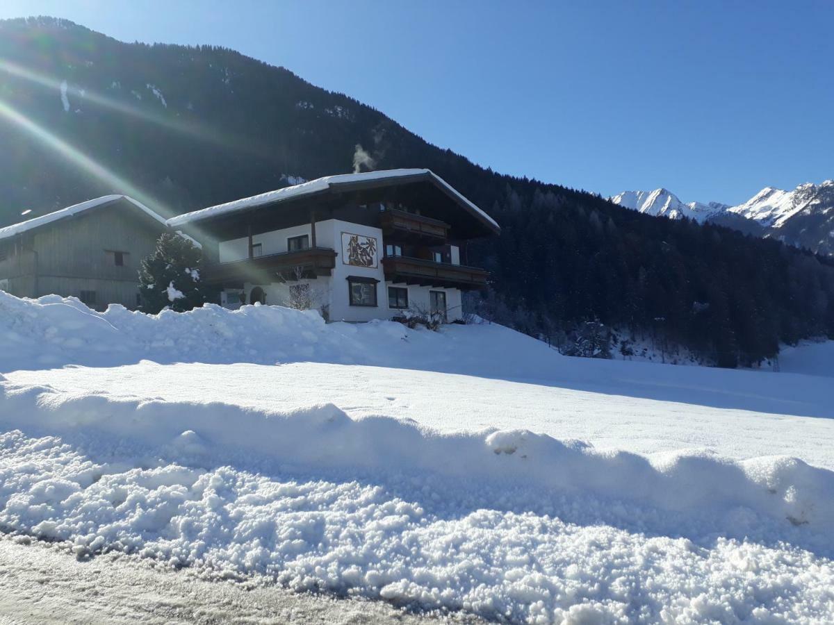 Appartement Wildkogelblick Neukirchen am Großvenediger Εξωτερικό φωτογραφία