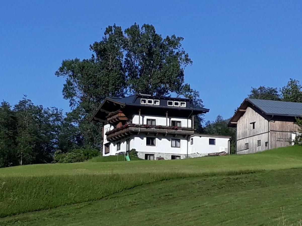 Appartement Wildkogelblick Neukirchen am Großvenediger Εξωτερικό φωτογραφία